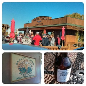 Barley john's brew pub